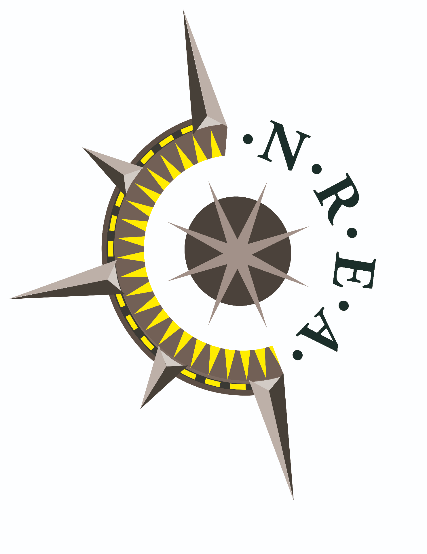 National Real Estate Associates compass logo